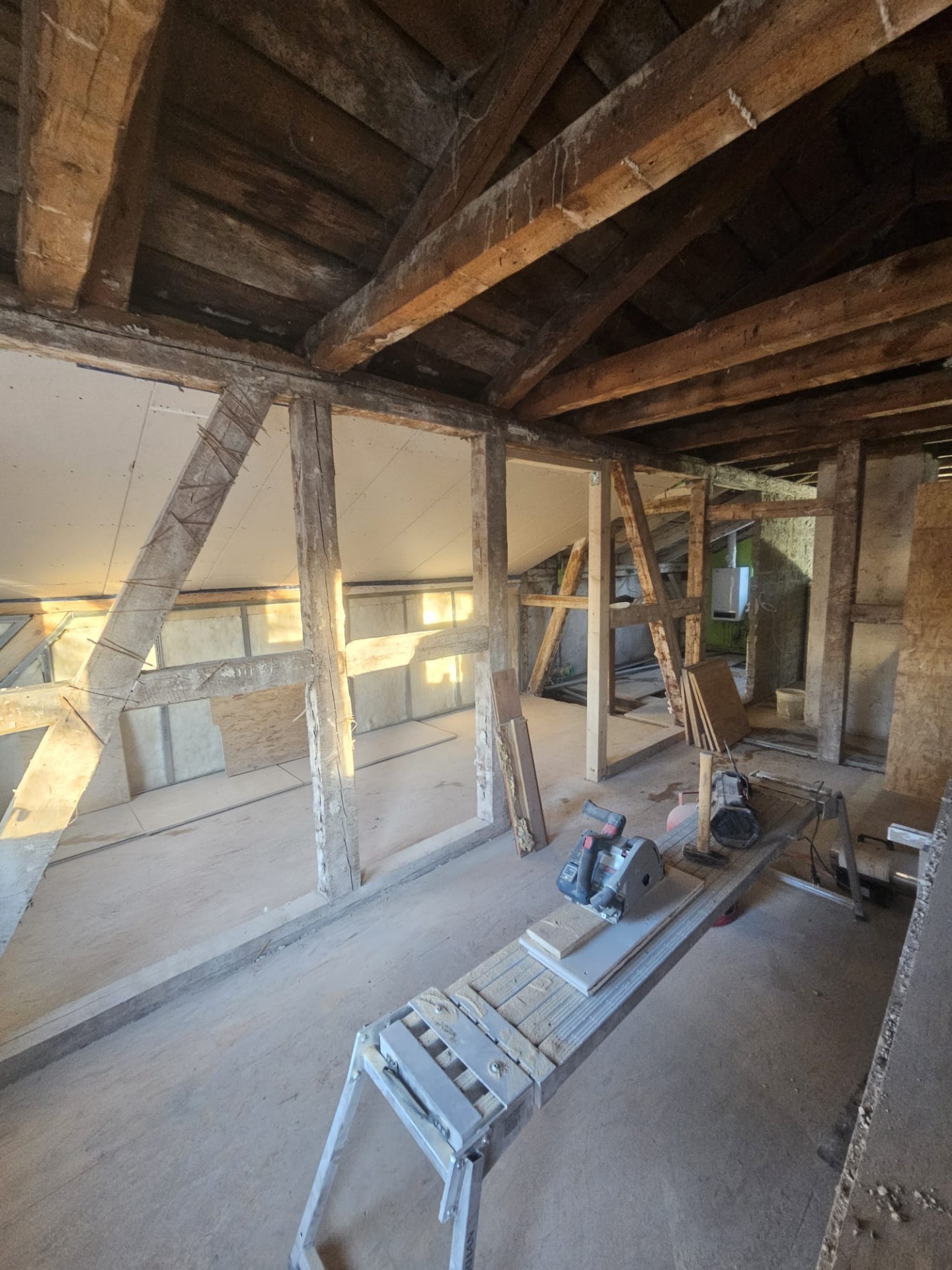 Abriss, Rückbau und Entkernung auf Rügen