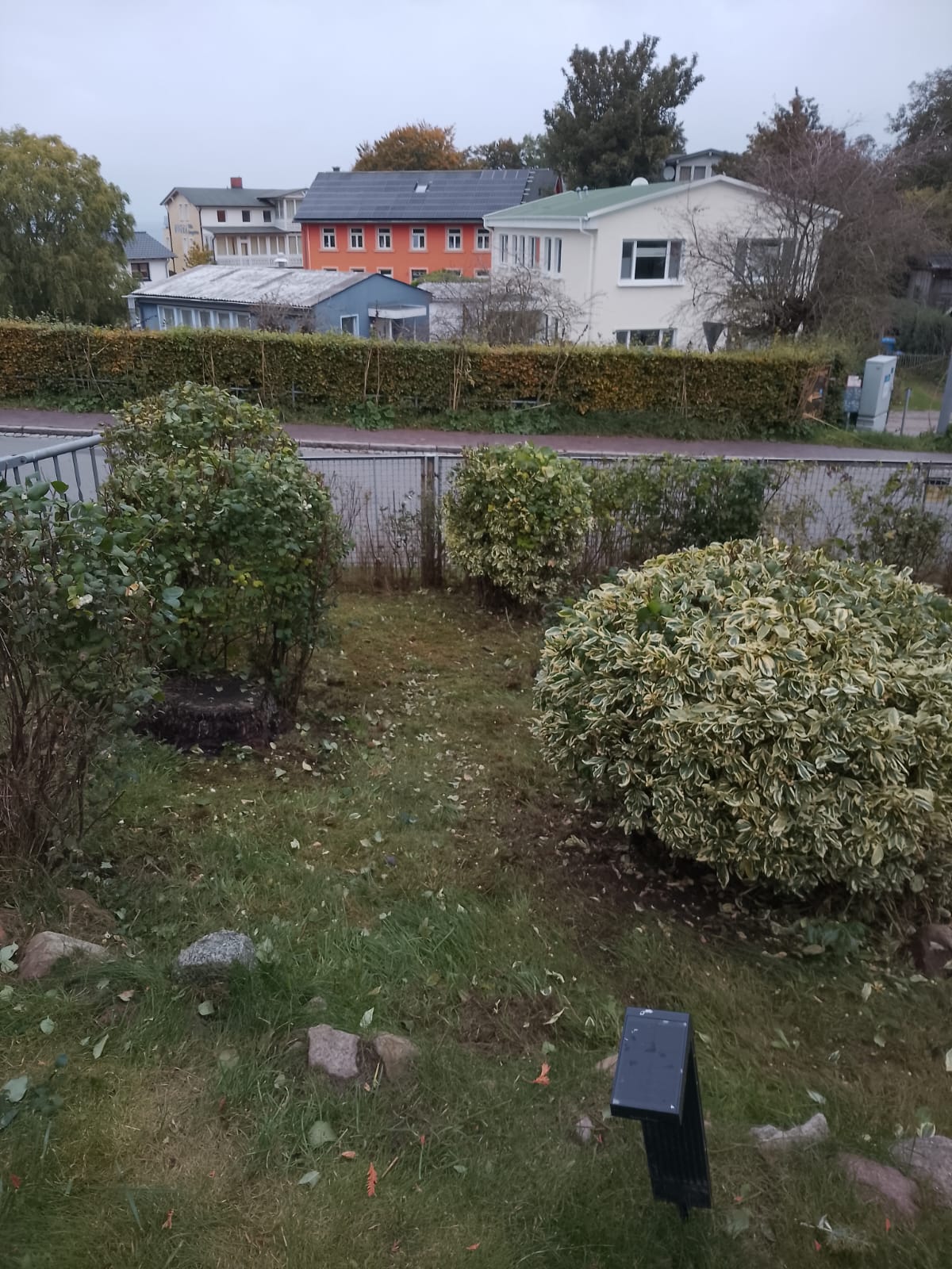 Garten- und Grundstückspflege auf Rügen